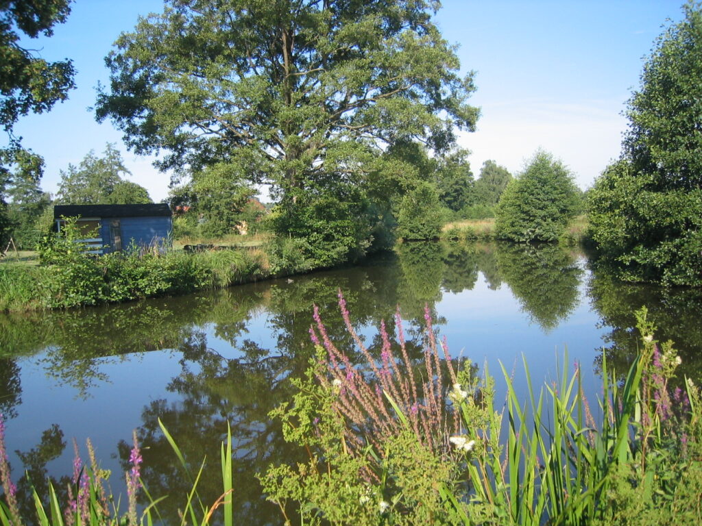 Ruhiger See im Ampfrachgrund mit Bäumen und Spiegelungen, ideal zum Wandern