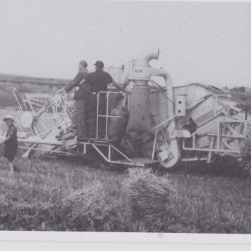 Alte Erntemaschine bei der Arbeit, Bauern auf der Maschine. "Unser tägliches Brot gib uns heute.
